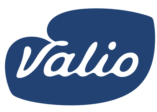 Logo 1